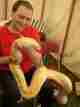 Albino Maltese Python 4 metres long