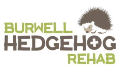Burwell Hedgehog Rehab Logo