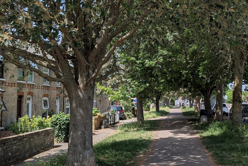 The Causeway, Burwell 