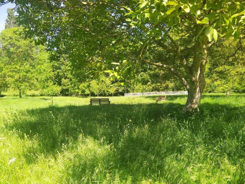 Burwell  Lode