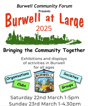 Burwell at Large Poster